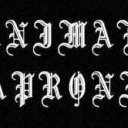 The lyrics DETHRONING LUCIFER of ANIMAE CAPRONII is also present in the album And hourglass of lifetime (2008)