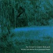 The lyrics SHADOWS OF MOONLIT NIGHTS of AUTUMN'S GREY SOLACE is also present in the album Within the depths of a darkened forest (2002)