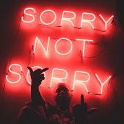 The lyrics TIL THEN of ZOEY DOLLAZ is also present in the album Sorry not sorry (2018)