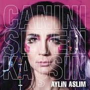 The lyrics K.A.L.P. of AYLIN ASLIM is also present in the album Canini seven kacsin (2009)