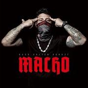 The lyrics 6 KUGELN of BASS SULTAN HENGZT is also present in the album Macho (2020)