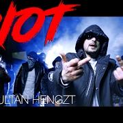 The lyrics DRIVE-BY AUF VEGANER-FOTZEN of BASS SULTAN HENGZT is also present in the album 2ahltag: riot (2017)