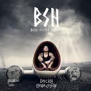 The lyrics ICH SEH GUT DABEI AUS of BASS SULTAN HENGZT is also present in the album Endlich erwachsen (2014)