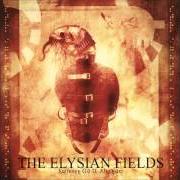 The lyrics I AM YOUR WILLING DARKNESS of ELYSIAN FIELDS is also present in the album Suffering g.O.D. almighty (2005)