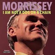 The lyrics DARLING, I HUG A PILLOW of MORISSEY is also present in the album I am not a dog on a chain (2020)