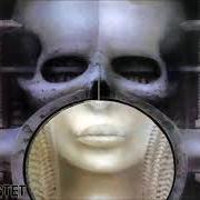 Brain salad surgery