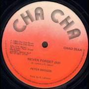 The lyrics INTERNATIONAL FARMER of PETER BROGGS is also present in the album Never forget jah (2001)
