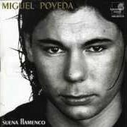 The lyrics DE QUERER A NO QUERER of MIGUEL POVEDA is also present in the album Suena flamenco (1998)