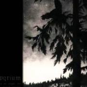 The lyrics THE SHEPHERD AND THE MAIDEN GHOST of EMPYRIUM is also present in the album Where at night the wood grouse plays (1999)
