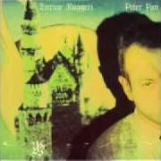 The lyrics SCELTE DI TEMPO of ENRICO RUGGERI is also present in the album Peter pan (1991)