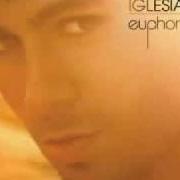 The lyrics CUANDO ME ENAMORO of ENRIQUE IGLESIAS is also present in the album Euforia (2010)