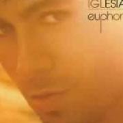 The lyrics CUANDO ME ENAMORO of ENRIQUE IGLESIAS is also present in the album Euphoria (2010)