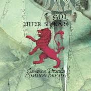 The lyrics SOLIDARITY of ENTER SHIKARI is also present in the album Common dreads (2009)