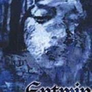The lyrics VEILED WOMAN of ENTWINE is also present in the album The treasures within hearts (1999)