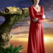 The lyrics LONG LONG JOURNEY of ENYA is also present in the album Amarantine (2005)