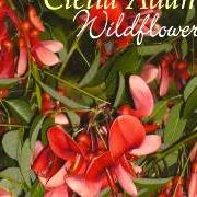 The lyrics WAYFARING STRANGER of CLELIA ADAMS is also present in the album Wildflowers (2008)