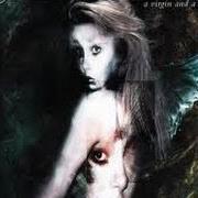 The lyrics THE LAST ONE FOR LIFE of ETERNAL TEARS OF SORROW is also present in the album A virgin and a whore (2001)