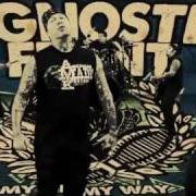 The lyrics SELF PRIDE of AGNOSTIC FRONT is also present in the album My life my way (2011)