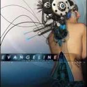 The lyrics QUIET of EVANGELINE is also present in the album Coming back to your senses (2006)