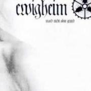 The lyrics EINLAUF of EWIGHEIM is also present in the album Mord nicht ohne grund (2002)