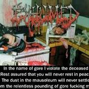 The lyrics IN MY HUMAN SLAUGHTERHOUSE of EXHUMED is also present in the album Gore metal (1998)