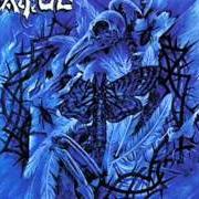 The lyrics STORMS OF DISILLUSIONS of EXTOL is also present in the album Mesmerized (1999)