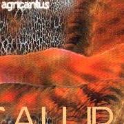 The lyrics PRESENCE of AGRICANTUS is also present in the album Calura (2002)