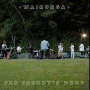 The lyrics BUSH TELEGRAPH of FAT FREDDY'S DROP is also present in the album Wairunga (2021)