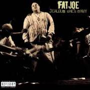 The lyrics THE SHIT IS REAL of FAT JOE is also present in the album Jealous one's envy (1995)