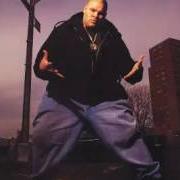 The lyrics FLOW JOE of FAT JOE is also present in the album Represent (1993)