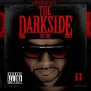 The lyrics AT LAST SUPREMACY of FAT JOE is also present in the album The dark side (2010)
