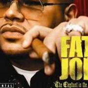 The lyrics AIN'T SAYIN' NOTHIN' of FAT JOE is also present in the album The elephant in the room (2008)