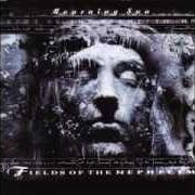 The lyrics SHROUD (EXORDIUM) of FIELDS OF THE NEPHILIM is also present in the album Mourning sun (2005)