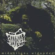 The lyrics SEGERSÅNG of FINNTROLL is also present in the album Midnattens widunder (1999)