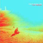 The lyrics LOOK…THE SUN IS RISING of THE FLAMING LIPS is also present in the album The terror (2013)