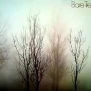 The lyrics BARE TREES of FLEETWOOD MAC is also present in the album Bare trees (1972)