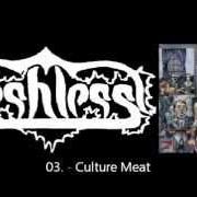 The lyrics NOISE PART III of FLESHLESS is also present in the album Nice to eat you (2001)