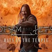 The lyrics HER BLOOD YOUR PAIN of FLOTSAM & JETSAM is also present in the album Rats in the temple (2026)