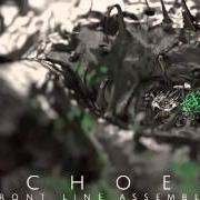 The lyrics ECHOGENETIC of FRONT LINE ASSEMBLY is also present in the album Echoes (2014)