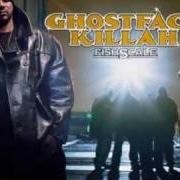 The lyrics WHIP YOU DOWN WITH A STRAP of GHOSTFACE KILLAH is also present in the album Fishscale (2006)