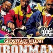 The lyrics DAYTONA 500 of GHOSTFACE KILLAH is also present in the album Ironman (1996)