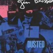 The lyrics SLAVE DEALER'S DAUGHTER of GIN BLOSSOMS is also present in the album Dusted (re-release) (2002)