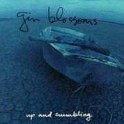 The lyrics JUST SOUTH OF NOWHERE of GIN BLOSSOMS is also present in the album Up and crumbling [ep] (1991)