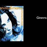 The lyrics TRAMA TENUE of GINEVRA DI MARCO is also present in the album Trama tenue (1999)