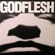The lyrics ICE NERVESHATTER of GODFLESH is also present in the album Godflesh (1988)