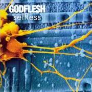 The lyrics GO SPREAD YOUR WINGS of GODFLESH is also present in the album Selfless (1994)
