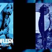 The lyrics WHOSE TRUTH IS YOUR TRUTH? of GODFLESH is also present in the album Us and them (1999)