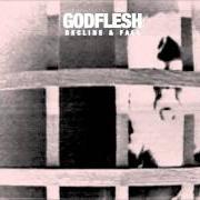 The lyrics DOGBITE of GODFLESH is also present in the album Decline & fall (2014)