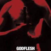The lyrics CURSE US ALL of GODFLESH is also present in the album A world lit only by fire (2014)