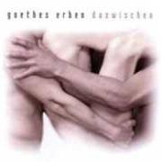 The lyrics NEGATIVMASKE of GOETHES ERBEN is also present in the album Dazwischen (2005)